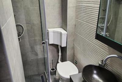 De inchiriat 2 camere pe Calea Bucuresti - 3