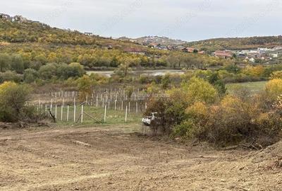 Terenuri de vanzare Saldabagiu de Munte - zona lac 625-1057 mp - front stradal 26 metri - 3