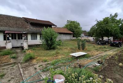Giarmata – Teren Constructii – Vatra Satului - 4