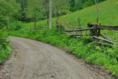 Teren de 4000 mp, în Muntele Băișorii - 5
