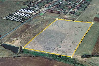 Teren extravilan Alunis-Arad. 92.700 mp Inchiriere pt parc fotovoltaic - 1