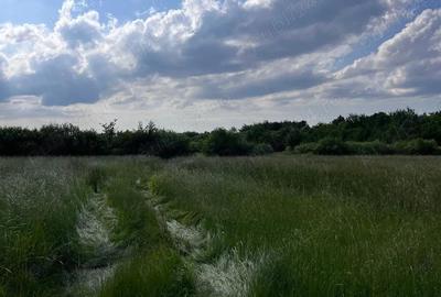 Teren de 20 mp, în Săsar