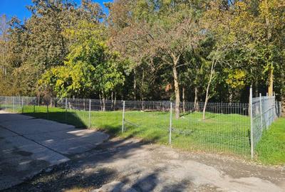 Teren în Ferdinand - 3