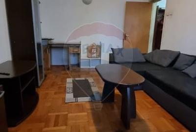 Apartament cu 2 camere decomandat, mobilat în Banu Manta - 5