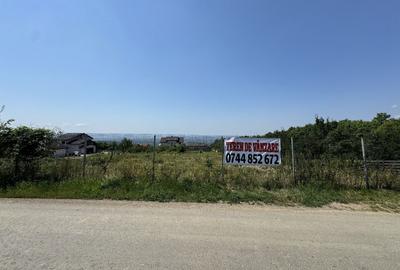 Teren de 28500 mp, în Păun - 3