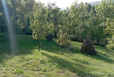 Casă cu 3 camere în Secăria - 4