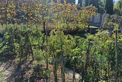 Casă cu 5 camere în Goranu - 3