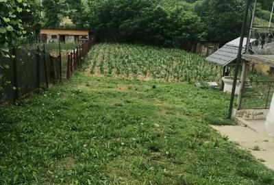 Casă cu 4 camere cu Teren 790 Mp în Plopșoru - 7