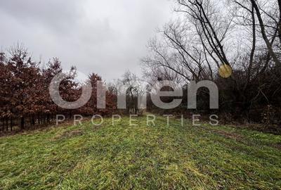 Teren Construcții intravilan de 3000 mp, în Mocira - 2