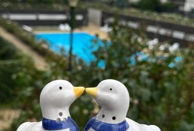 Apartament cu 3 camere decomandat, mobilat în Băneasa - 2