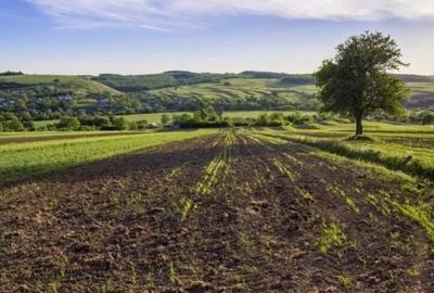 Teren agricol extravilan de 1002 mp, în Ampoița - 1