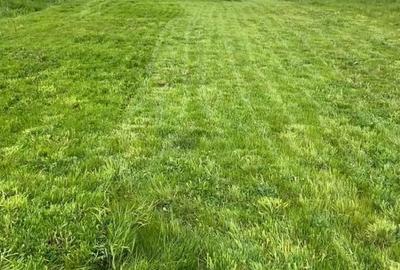 Spațiu comercial, în Merișor - 7