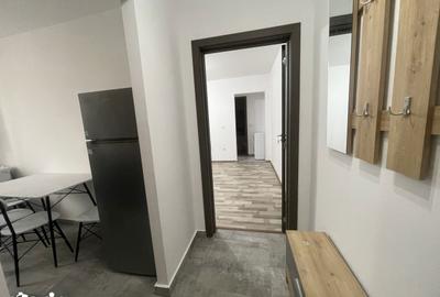 Apartament cu 2 camere semidecomandat în Vasile Aaron - 10