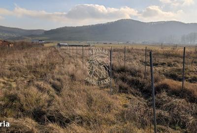 Spațiu comercial, în Central