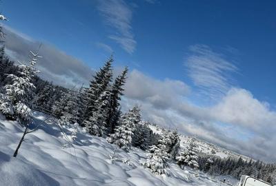 Spațiu comercial, în Măguri - 3