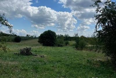 Casă cu 2 camere cu Teren 3208 Mp în Cărăndeni - 5