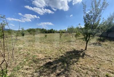 Teren de 1500 mp, în Aghireș - 6