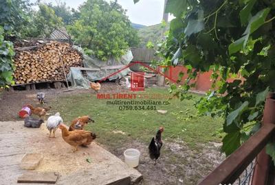 Casă cu 3 camere cu Teren 2663 Mp în Telița - 6