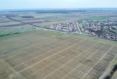 Teren Construcții intravilan de 540 mp, în Bucovăț (Remetea Mare) - 6