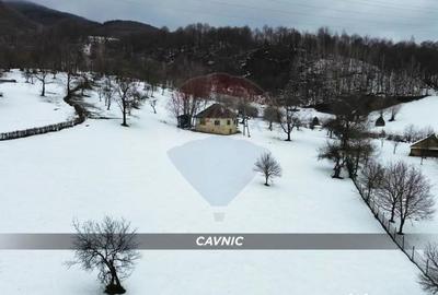 Teren în Central - 6