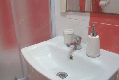 Inchiriez garsoniera Timi?oara - 8