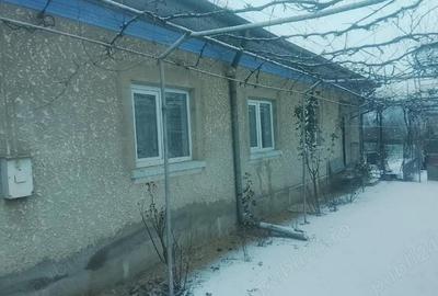 Casă cu Teren 1100 Mp în Breasta - 6