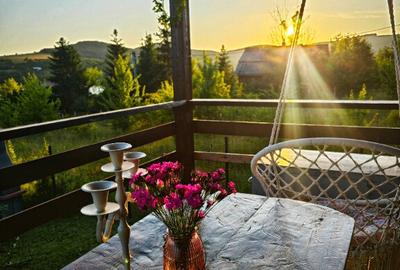 Casa in Moac?a cu vedere la Lacul Padureni - 2