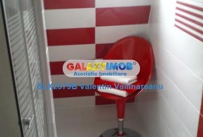 Apartament 2 camere Jiului complet mobilat si utilat - 15