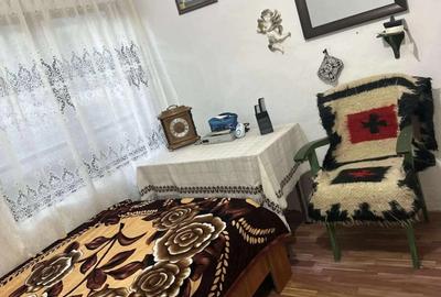 Vand casa batraneasca Sat Breznicioara Comuna Stangaceaua jude?ul Mehedin?i - 5