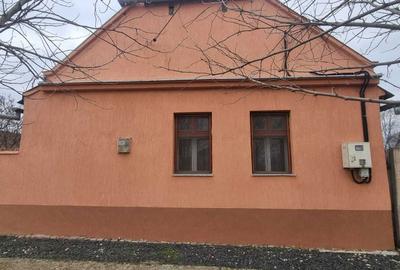 Casă cu 4 camere în Dudeștii Vechi - 8