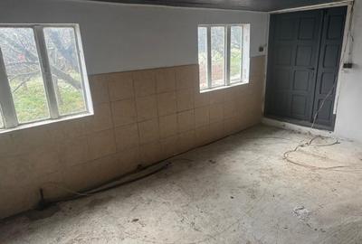 Tomesti - Osoi, vila cu spatiu comercial la parter , 2400mp teren cu iaz si pomi - 13