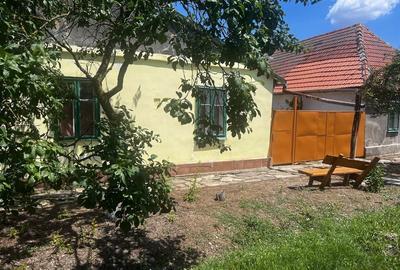 Casă cu 4 camere în Jamu Mare - 6