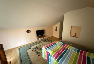 Casa cu garaj si 2 seminee, langa Parcul Mare – Str. Victoriei, Baia Mare - 12