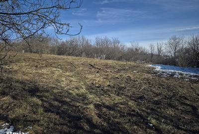 Spațiu comercial, în Dâmbul Rotund