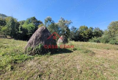 Teren intravilan in Poiana Campina 4285 mp parcelabil 11,6e - 6