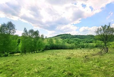 25.000 mp TEREN IDEAL AFACERE TURISM – AMENAJARE LAC DE PESCUIT, CIUCEA - CLUJ - 20