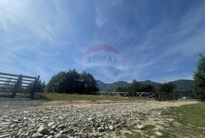 Teren Construcții intravilan de 850 mp, în Tohănița - 4