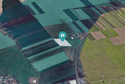 Teren agricol extravilan de 41600 mp, în Sânnicolau Mic - 2