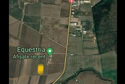 Spațiu comercial, în Săftica - 2