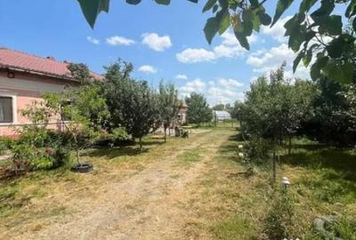 Casă cu 4 camere cu Teren 2225 Mp în Țigănești - 3