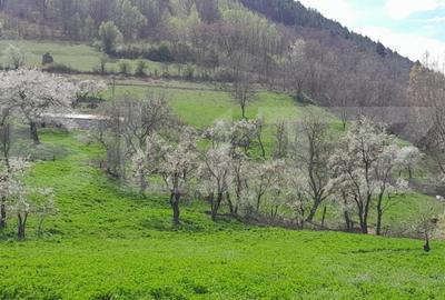 Casă cu 2 camere cu Teren 5500 Mp în Vințu de Jos - 3