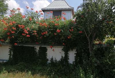 Casă în Dealu Morii - 2