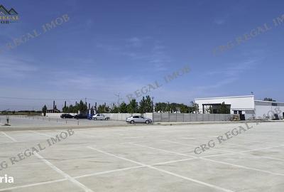 Spațiu comercial, în Dobreni