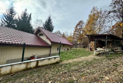 Casă cu 4 camere cu Teren 1527 Mp în Tăuții de Sus - 9