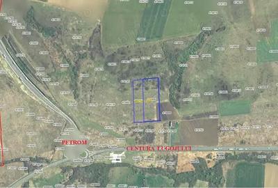 Teren de 27000 mp, în Lugoj