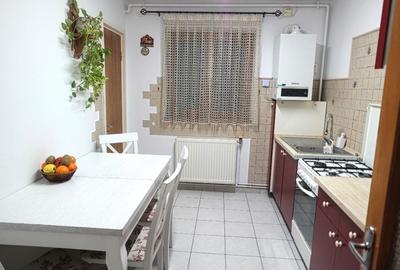 Apartament cu 5 camere decomandat în Aurel Vlaicu - 11