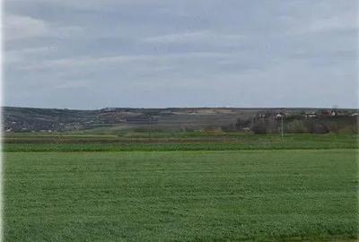 Teren Andrieseni, cota parte 1/20, ID: R2603082 - 1