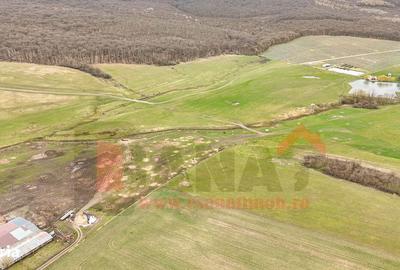 Teren de 20000 mp, în Șura Mică - 2