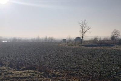 Vand teren intravilan 4000MP cu  dechidere la Delta Neajlovului, Comana GR - 2