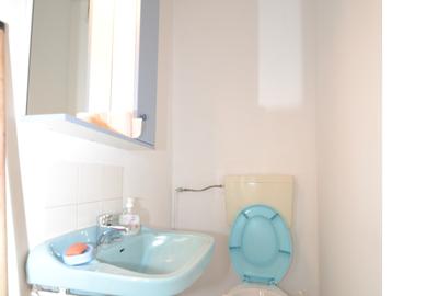 Apartament 2 camere, in apropierea  P-tei Unirii, 350 euro - 7